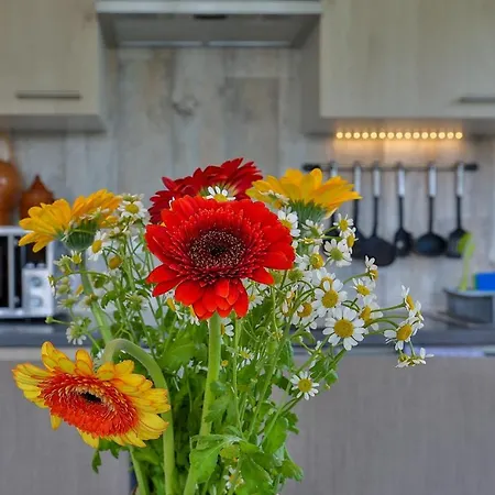 Apartament Hus Moewenschiet Büsum