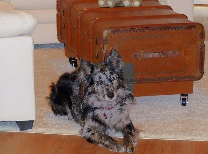 Apartamento Hus Moewenschiet