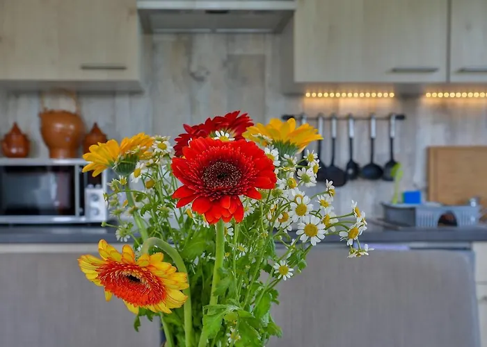 Apartamento Hus Moewenschiet Büsum